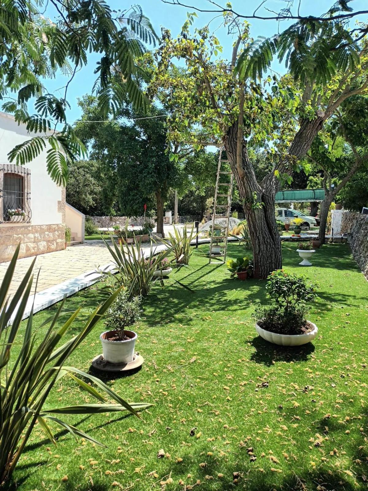 Trulli Allegretti Ночи Экстерьер фото